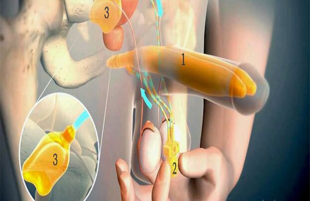 Operacioni Lipofilling